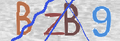 CAPTCHA (Şahıs Denetim Kodu) Resmi