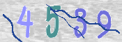 CAPTCHA (Şahıs Denetim Kodu) Resmi