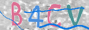 CAPTCHA (Şahıs Denetim Kodu) Resmi