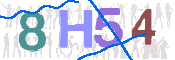 CAPTCHA (Şahıs Denetim Kodu) Resmi