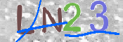 CAPTCHA (Şahıs Denetim Kodu) Resmi