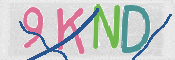 CAPTCHA (Şahıs Denetim Kodu) Resmi