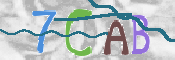 CAPTCHA (Şahıs Denetim Kodu) Resmi